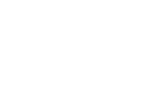 eFleet Logo